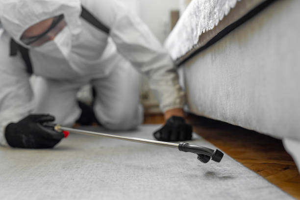 Professional Bed Bug Control technician working in Millington, MI